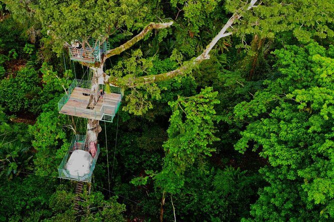 1 Day Tree Climbing and Rappelling Experience With Accommodation - Good To Know