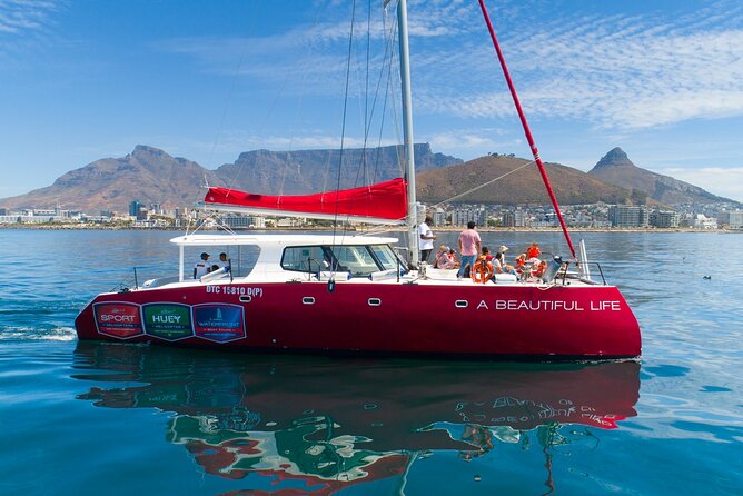 1- Hour Catamaran Cruise Cape Town - Good To Know