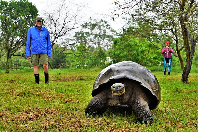 10-Day Galapagos and Amazon Quest - Good To Know