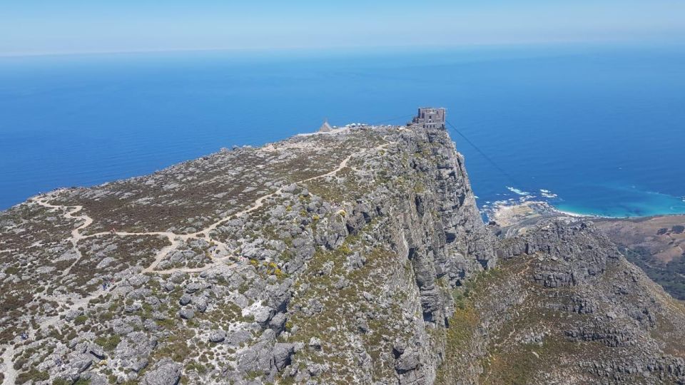 Cape Town: Table Mountain, Penguins & Cape Point Shared Tour - Encountering Boulders Penguin Colony