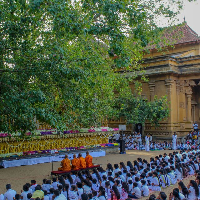 Colombo Port Shore Excursions Colombo City & Kalaniya Temple - Key Highlights of the Tour