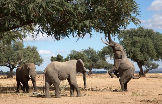 11 Days and 10 Nights Private Northern Explorer Tour - Good To Know