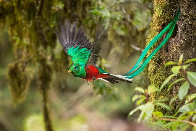 14 Days Private Sightseeing Tour in Guatemala - Good To Know