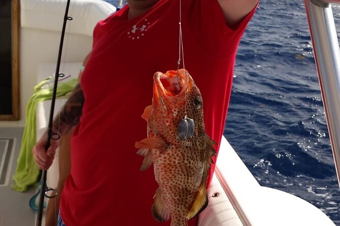 1/2 Day Morning Reef/Bottom Fishing Charter on Shady Grady