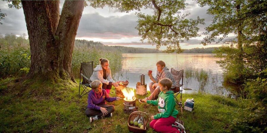 1 Day CapeTown Pvt Tour: Table Mountain, Cape Point & Pengui - Overview of the Tour