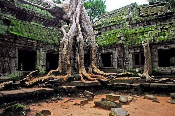 1-Day Tour With Private Transportation and English Speaking Guide