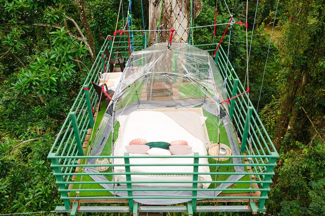 1 Day Tree Climbing and Rappelling Experience With Accommodation
