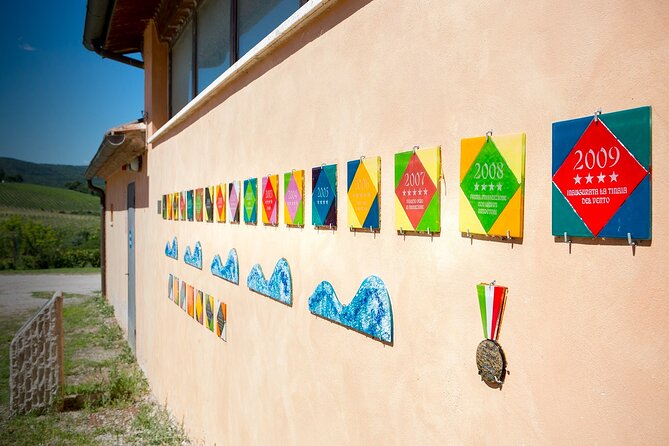 1-Hour Experience With Brunello. Visit to the Vineyard and Cellar - Overview of the Experience