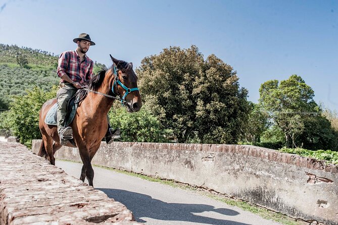 1 Hour Horseback Ride in Valgraziosa Review