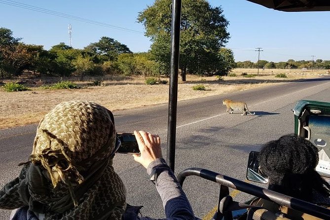 4 Best National Park Tours In Kasane