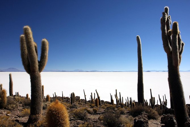 10-Day Private Journey Peru and Bolivia