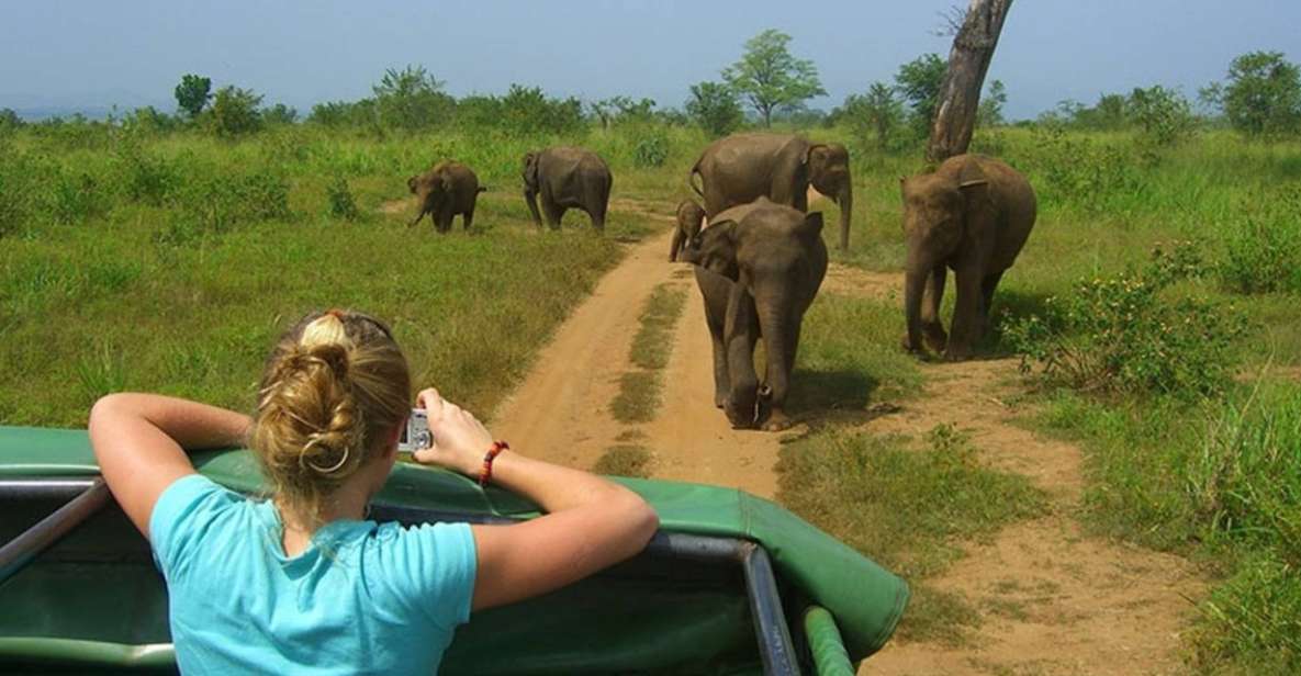 10-Days Discover Sri Lankas Natural Beauty and Wildlife - Tour Overview and Pricing