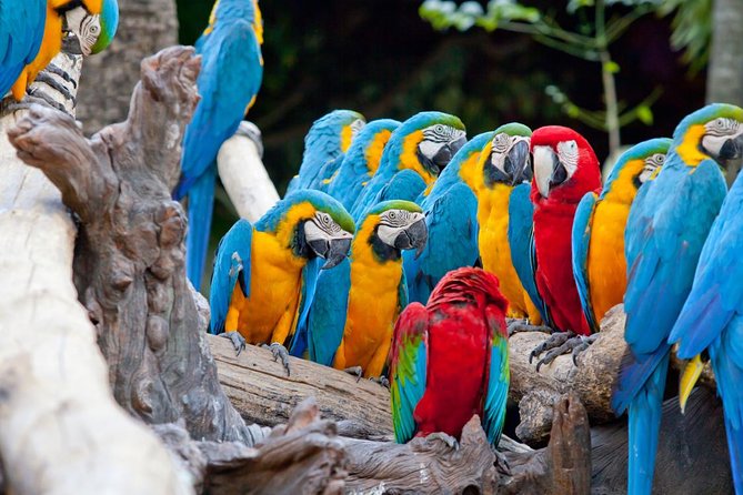 10 Days Essential Costa Rica - Package With Manuel Antonio National Park