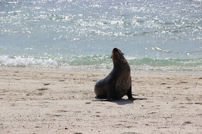 10 Days Galapagos Island Hopping: Santa Cruz & Isabela Island