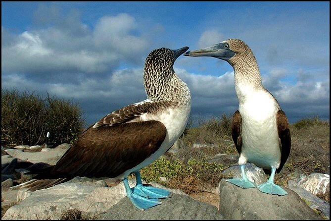 10 Days Galapagos Island Hopping