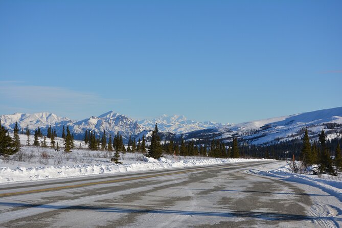 10 Hours Denali Winter Drive in Alaska