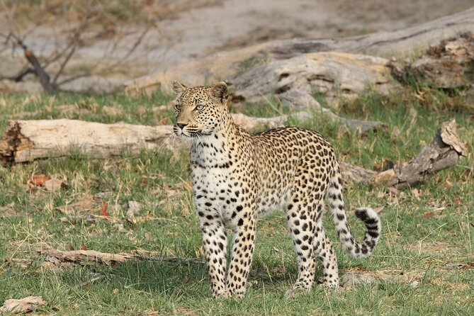 4 Best Tours In Maun