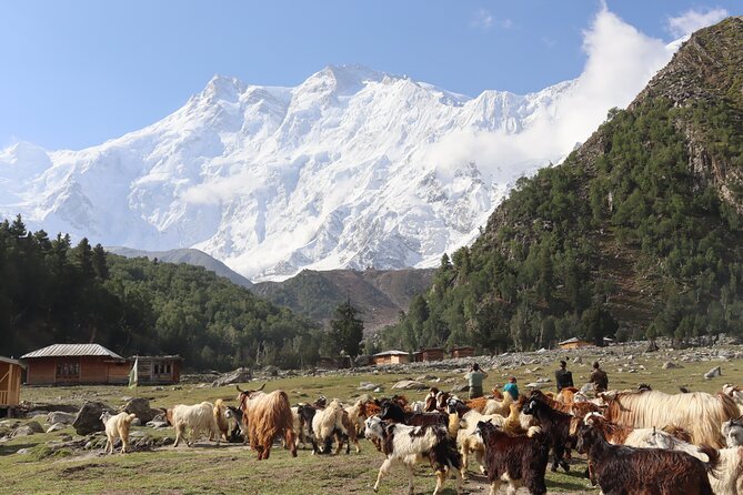 12-DAY Hiking Tour Worlds Highest Mountain Ranges From Islamabad