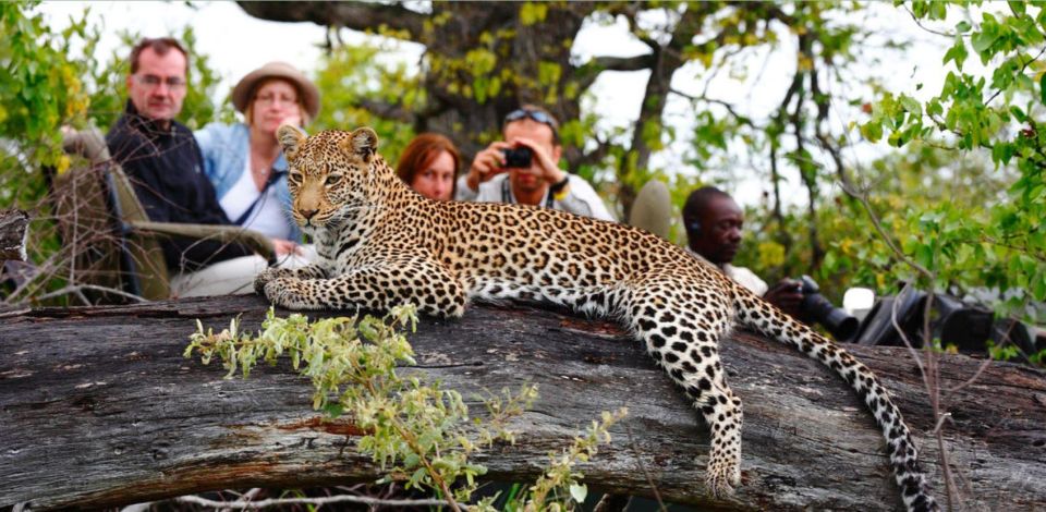 12 Days Best Of South Africa Tour - Johannesburg to CapeTown - Kruger National Park Exploration