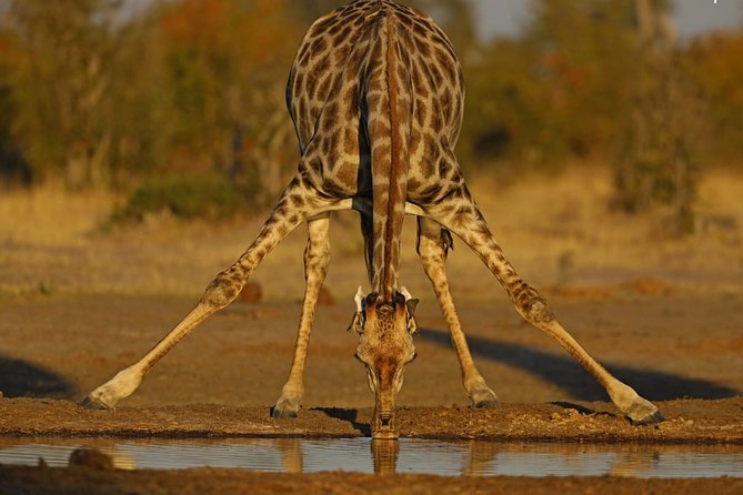 4 Best National Park Tours In Maun