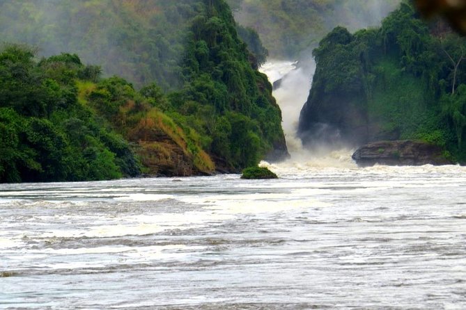 15 Day Gorillas, Chimps and Big 5 Safari Tour