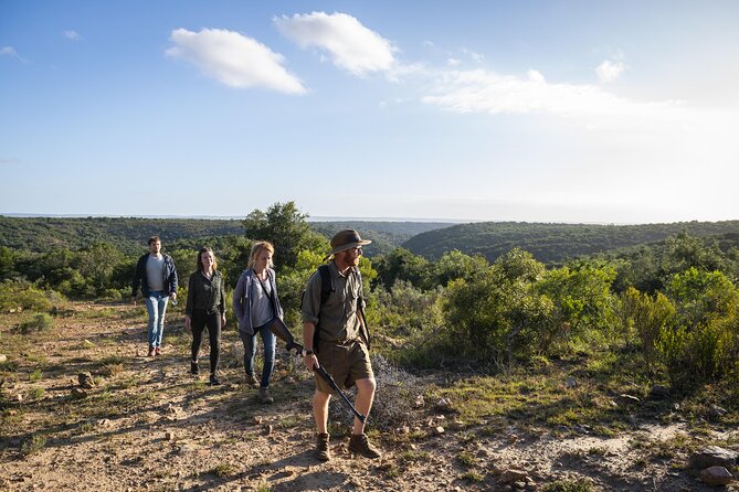 2 Day Addo Elephant Park Safari