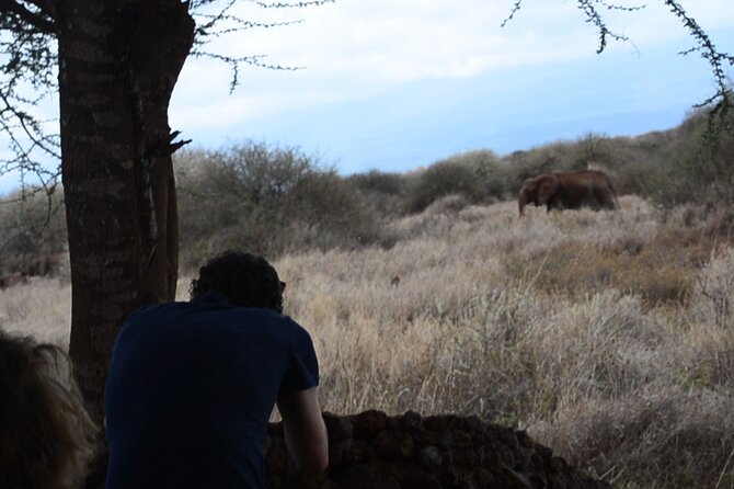 2-Day Amboseli Safari Witness Wildlife & Mt Kilimanjaro View - Overview of Amboseli Safari