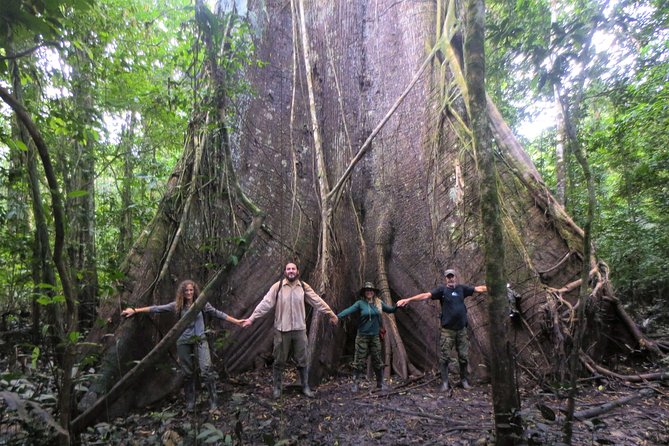 4 Best National Park Tours In Iquitos