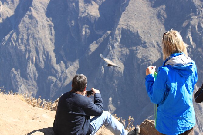 2 Day Colca Canyon, Vicuna Reserve and Condors From Arequipa - Vicuna Reserve Exploration