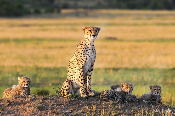 2 Best 2 Day Tours In Maasai Mara National Reserve