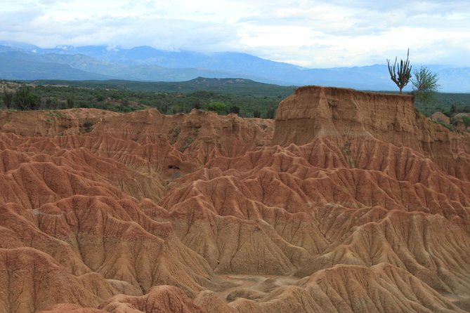 2-Day Private Tour to the Tatacoa Desert From Bogotá