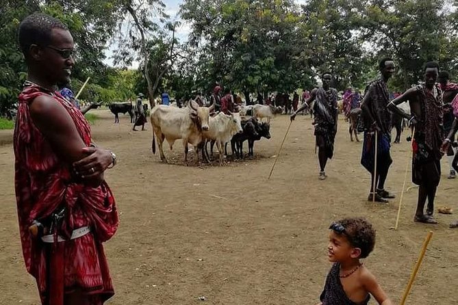 5 Best National Park Tours In Morogoro Region