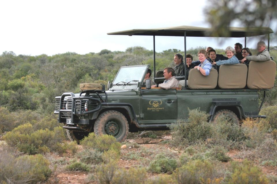 2 Day Small Group Cape Town: Garden Route Big 5 Safari Tour - Tour Overview