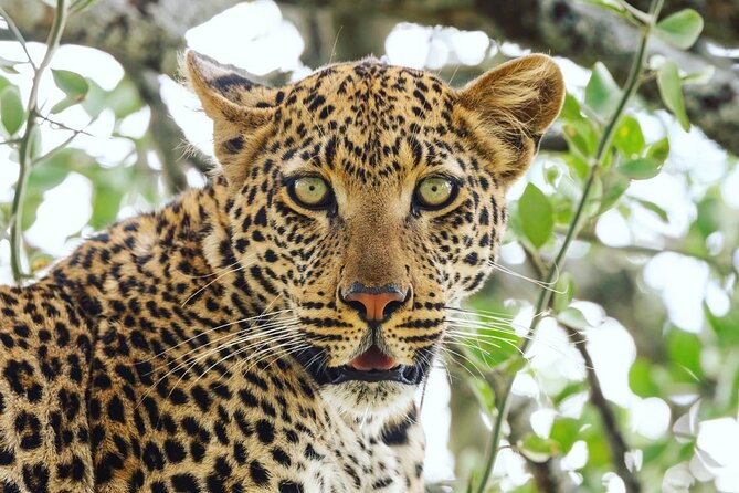 3 Best 2 Day Tours In Tanzania
