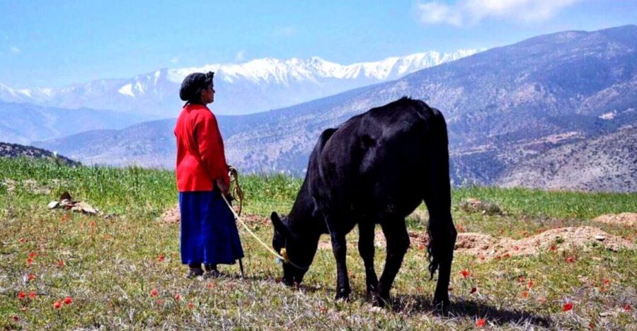 2 Day Trek in Atlas With Locals.. / Virgin Villages