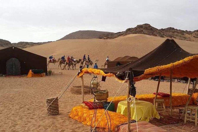 2-Day Zagora Tour From Marrakech Including the Atlas Mountains, Camel Trek and Desert Camp - Detailed Itinerary