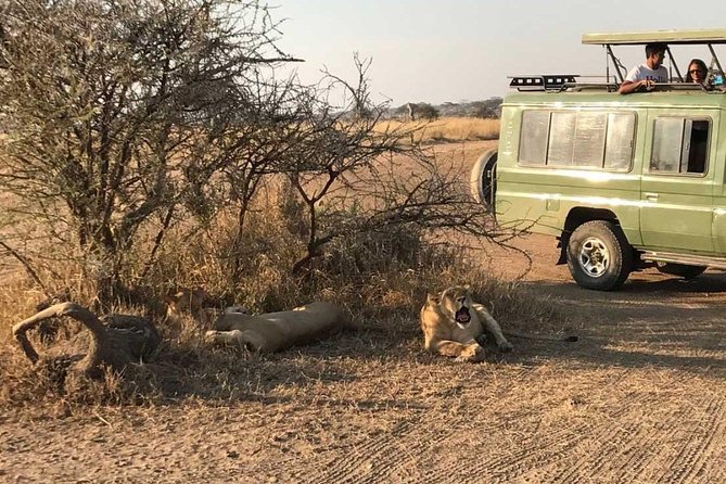 2 Days Africa Safari