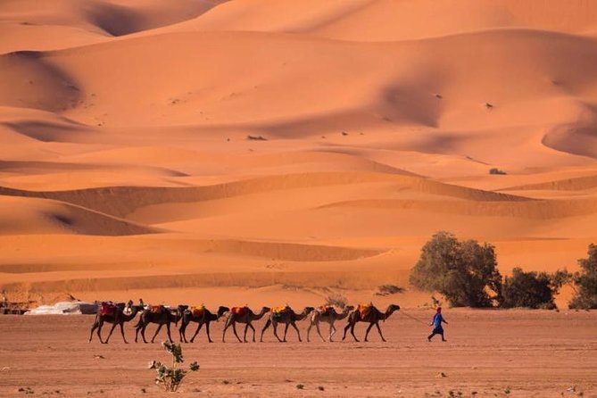 8 Best 2 Day Tours In Fez