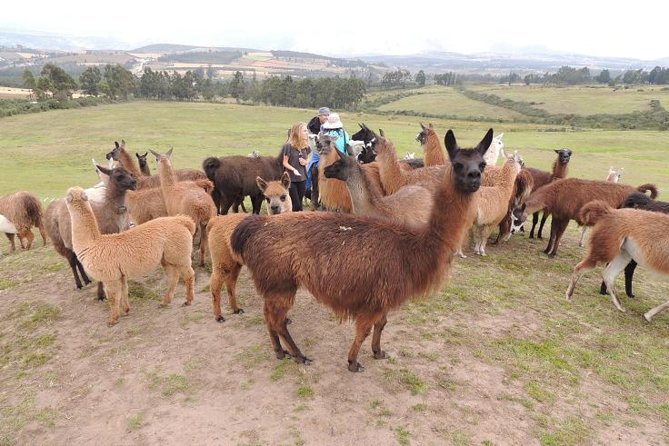 2-Days Otavalo Highlights