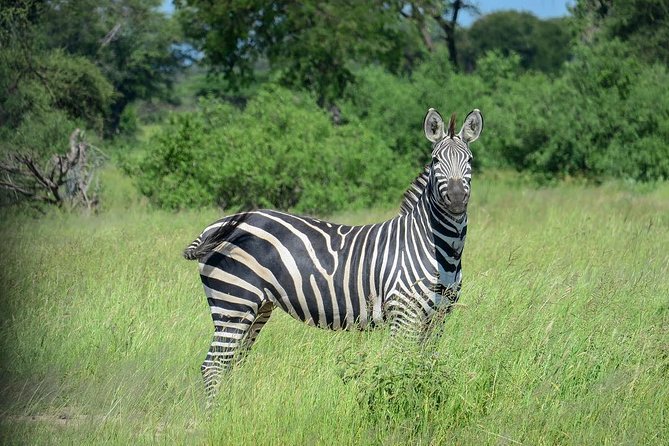 2 Days Saadani National Park From Zanzibar - Tour Overview