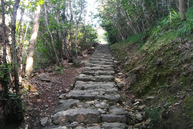 2 Days Trekking - the Way of the Wanderer: From Varenna to Colico - Overview of the Trek