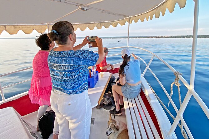 2-Hour Dolphin Guided Safari NP Brijuni Review