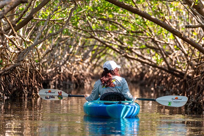 2 Hour Guided Kayak Tour in Boca Ciega Bay - St. Pete