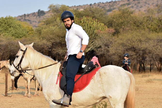 2-Hour Horseback Safari in Hartbeespoort - Overview and Experience