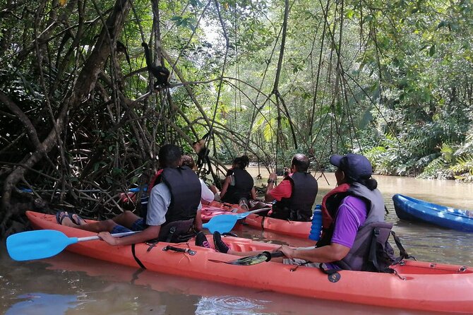 2-Hour Kayak Tour in Quepos