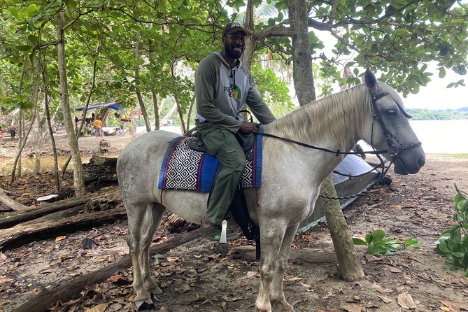 2 Hour Private Beach Horse Back Riding in Puerto Viejo