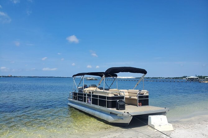 2 Hour Private Dolphin and Sightseeing Tour in Shell Island