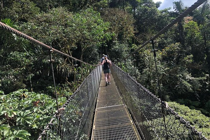 2-Hour Private Místico Hanging Bridges Naturalist Walk - Immersive Naturalist Experience