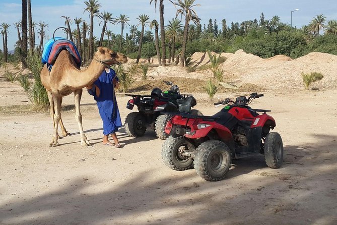 2-Hour Quad Bike & Camel Ride in Marrakech Palmeraie