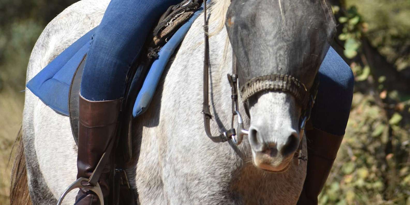 2 Hour Sunrise Horseback Safari - Overview of the Safari